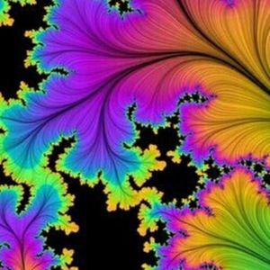 Meet your Posher, Sheila